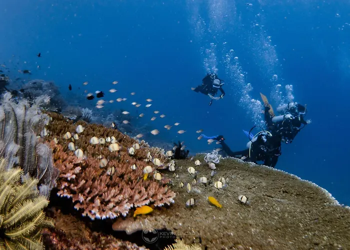 Badladz Beach And Dive Resort